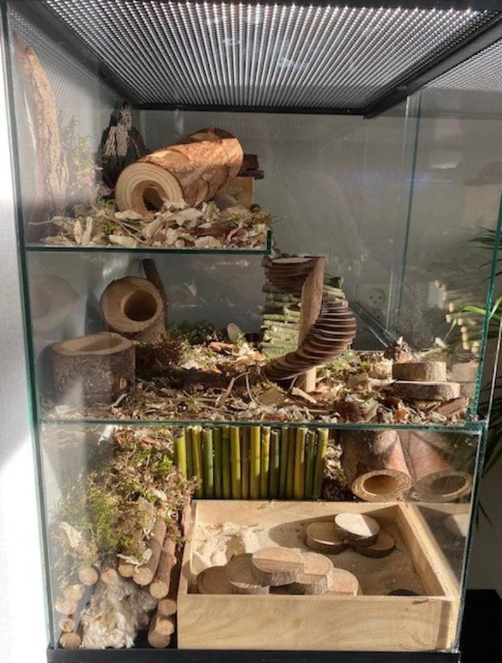 Ruim Gerbil Terrarium 60x40x60 cm-Voor Creatieve inrichting, Dieren en Toebehoren, Knaagdieren en Konijnen | Hokken en Kooien