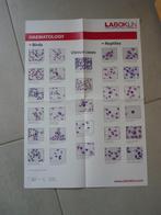 Gratis Poster van Laboklin bloedcellen van reptielen vogels, Enlèvement ou Envoi