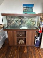 Aquarium Juwel avec meuble – 150 cm – complet avec néons, Ophalen, Gebruikt, Leeg aquarium