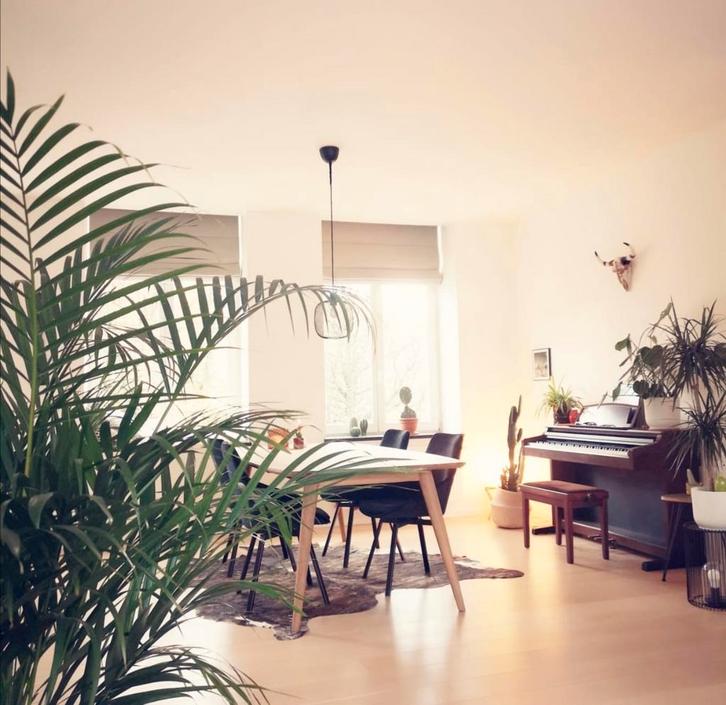 4 eetkamer stoelen - totaal voor 200eur, Huis en Inrichting, Stoelen, Zo goed als nieuw, Vier, Overige materialen, Zwart, Ophalen