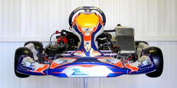 ZANARDI Kart DD2 met Rotax DD2 Motor beschikbaar voor biedingen