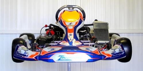 ZANARDI Kart DD2 met Rotax DD2 Motor, Sport en Fitness, Karting, Zo goed als nieuw, Kart, Ophalen