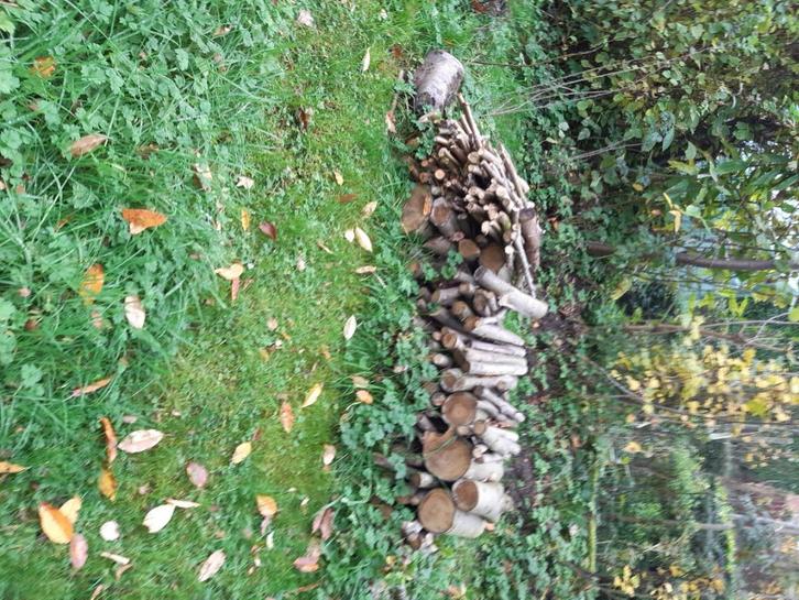 brandhout, Tuin en Terras, Brandhout, Blokken, Overige houtsoorten, 3 tot 6 m³, Ophalen