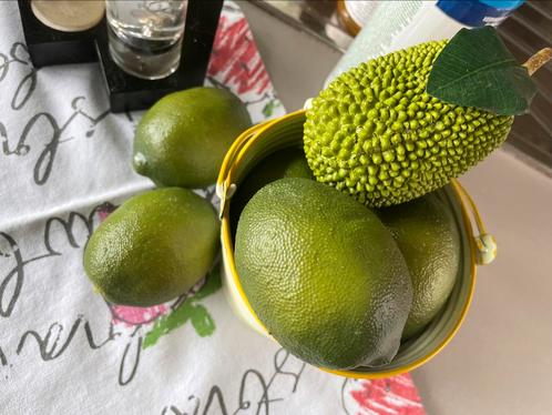 Nepfruit (echt look kwalitatief) allerhande, Huis en Inrichting, Woonaccessoires | Kunstplanten en Kunstbloemen, Zo goed als nieuw