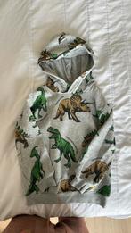 Jongens dino hoodie, Kinderen en Baby's, Kinderkleding | Maat 122, Ophalen, Gebruikt, Trui of Vest, H&M