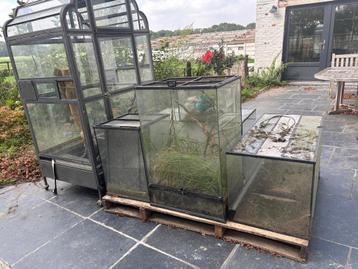 Terrarium verschillende modellen. beschikbaar voor biedingen