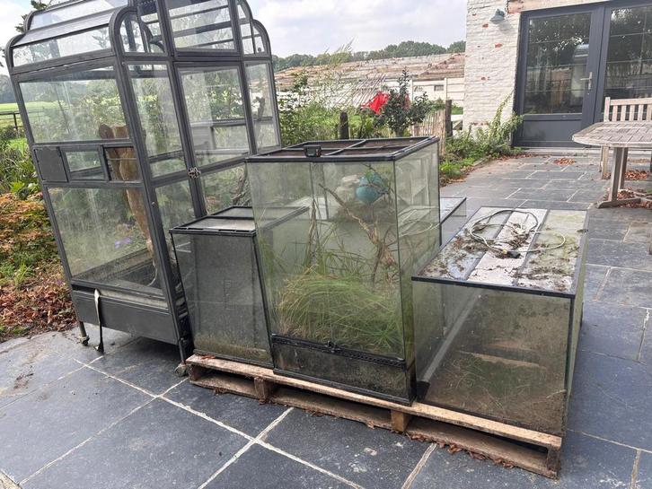Terrarium verschillende modellen. Exo terra, Tuin en Terras, Kassen, Zo goed als nieuw, Ophalen