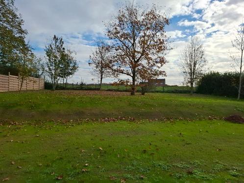 Jardinier payagiste, Tuin en Terras, Planten | Bomen, Ophalen of Verzenden