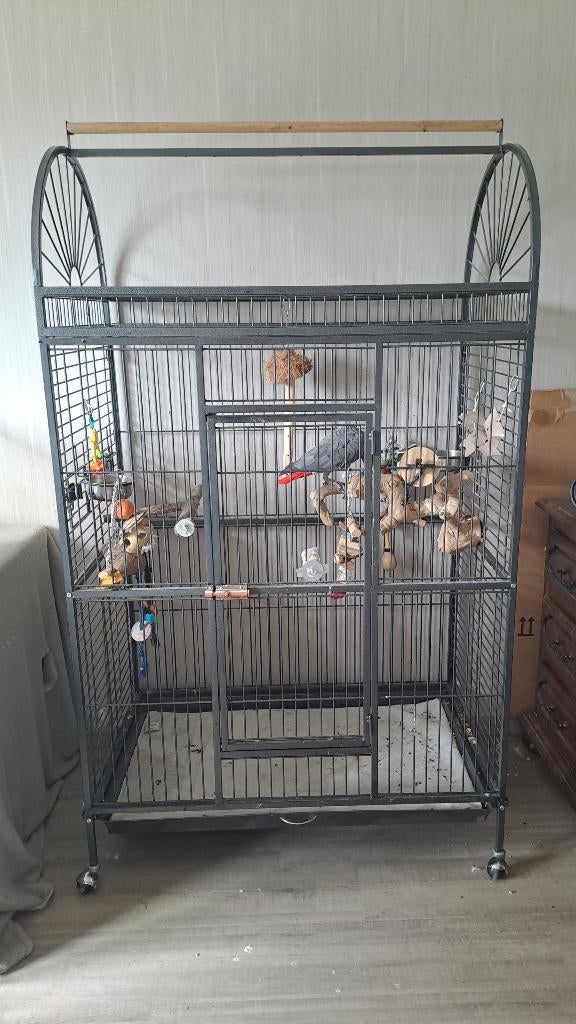 Vogel kooi, Enlèvement, Comme neuf, Métal, Cage à oiseaux