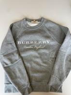 Burberry. Grijze sweater maat XS, Ophalen of Verzenden, Zo goed als nieuw, Maat 46 (S) of kleiner, Grijs