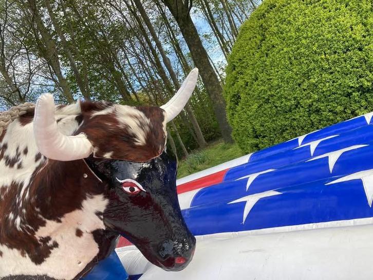 Mechanische 3 in 1 rodeostier , surf , snowboard simulator, Hobby en Vrije tijd, Feestartikelen | Verhuur, Ophalen