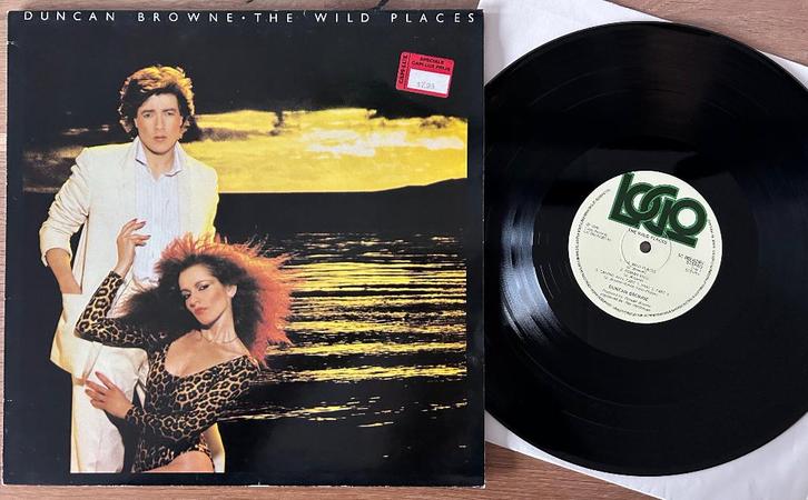 DUNCAN BROWN - The wild places ( LP ), Cd's en Dvd's, Vinyl | Rock, Zo goed als nieuw, Poprock, 12 inch, Verzenden