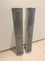 Enceintes Piega P4L MK2 Aluminum, Audio, Tv en Foto, Luidsprekerboxen, Gebruikt, 120 watt of meer, Front, Rear of Stereo speakers