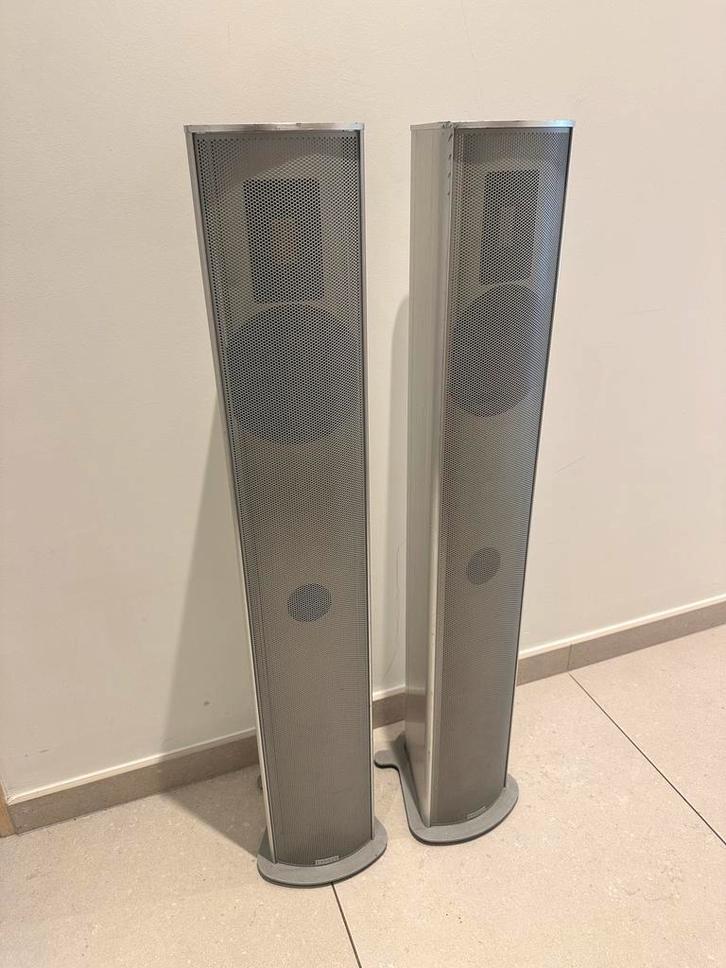 Enceintes Piega P4L MK2 Aluminum, Audio, Tv en Foto, Luidsprekerboxen, Gebruikt, Front, Rear of Stereo speakers, 120 watt of meer