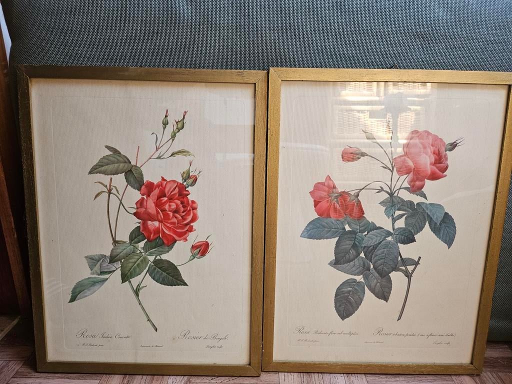 2 Rosa kaders, Ophalen of Verzenden
