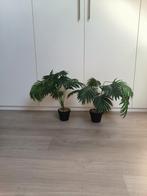 Lot de 2 plantes artificielles d'intérieur, Enlèvement, Utilisé, Intérieur
