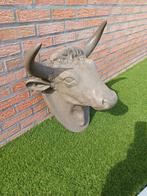 Stierenkop uit  harde polyester, Ophalen