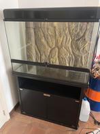 Exo terra large terrarium + kast + toebehoren, Enlèvement, Comme neuf