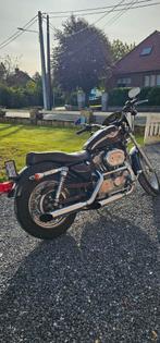 Harley Sportster 883 XLH HUGGER 2003, Particulier