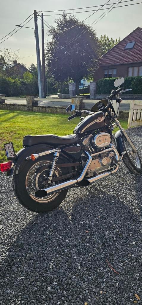 Harley Sportster 883 XLH HUGGER 2003, Motoren, Motoren | Harley-Davidson, Particulier