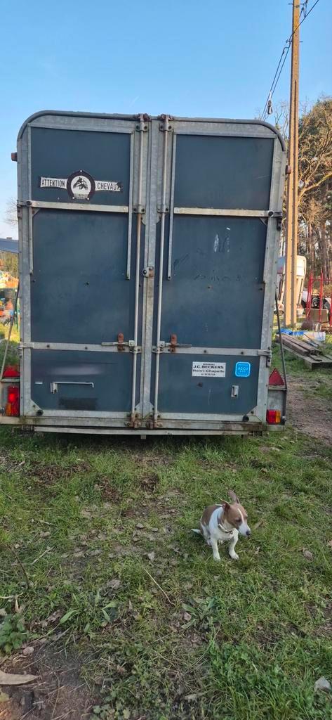 3 paards trailer merk FAUTRAS Bj 2001, Animaux & Accessoires, Chevaux & Poneys | Semi-remorques & Remorques, Enlèvement