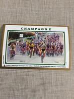 Etiket Champagne Ronde van Oost Vlaanderen wielrennen 2014, Verzenden, Gebruikt, Overige typen