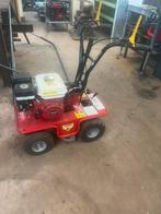 Graszode snijder, Ophalen