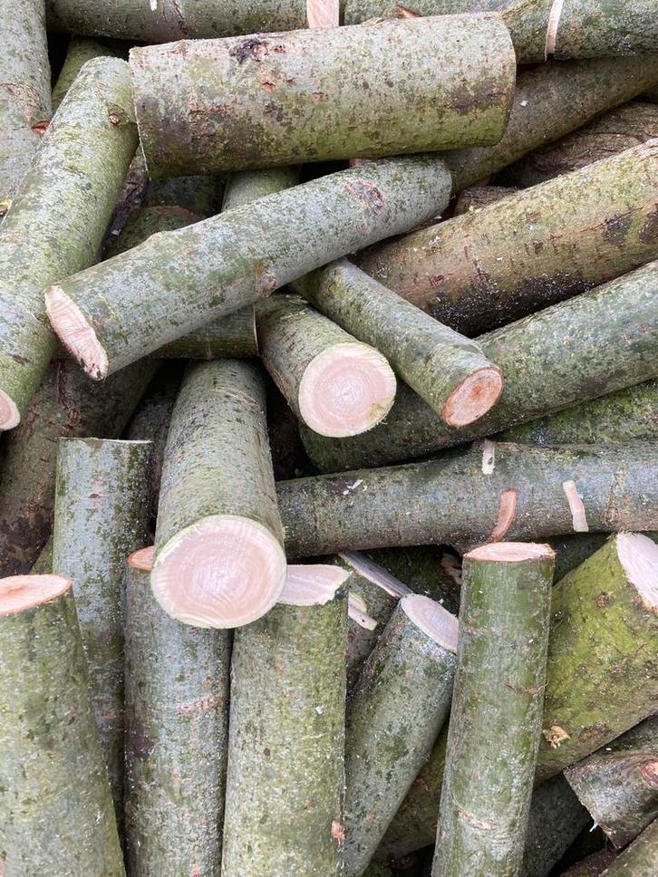 Wilgenhout, Tuin en Terras, Brandhout, Ophalen