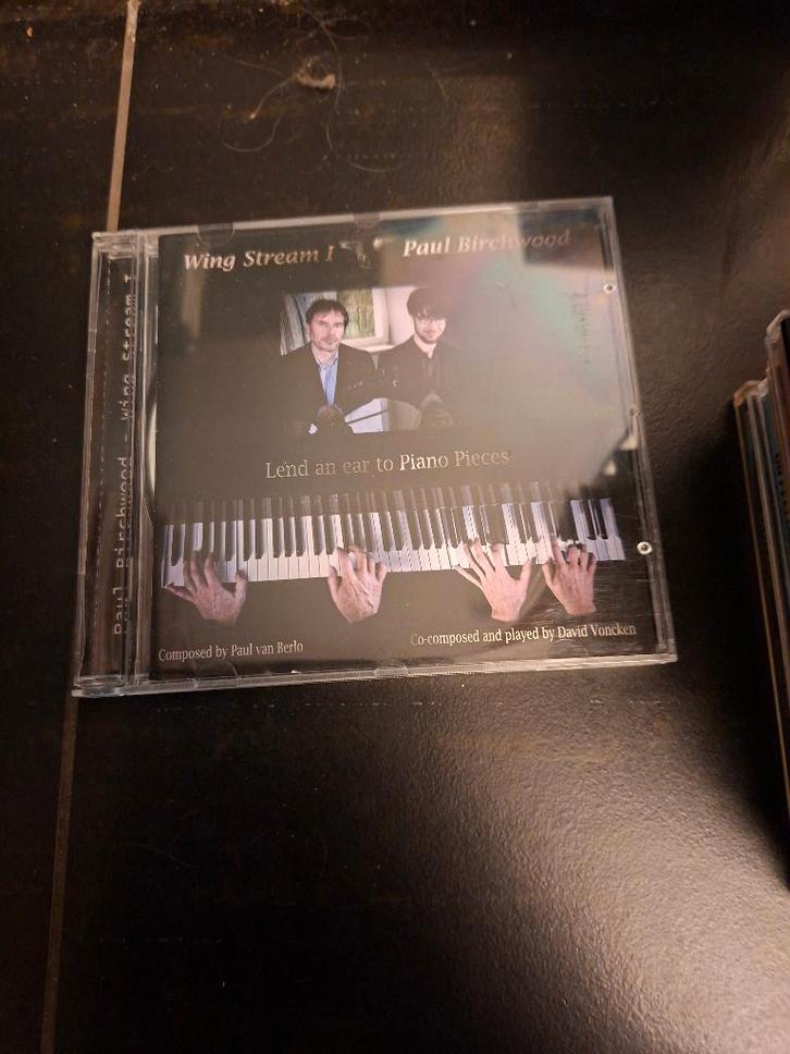 cd - paul birchwood - wing stream 1, CD & DVD, CD | Rock, Comme neuf, Autres genres, Enlèvement ou Envoi