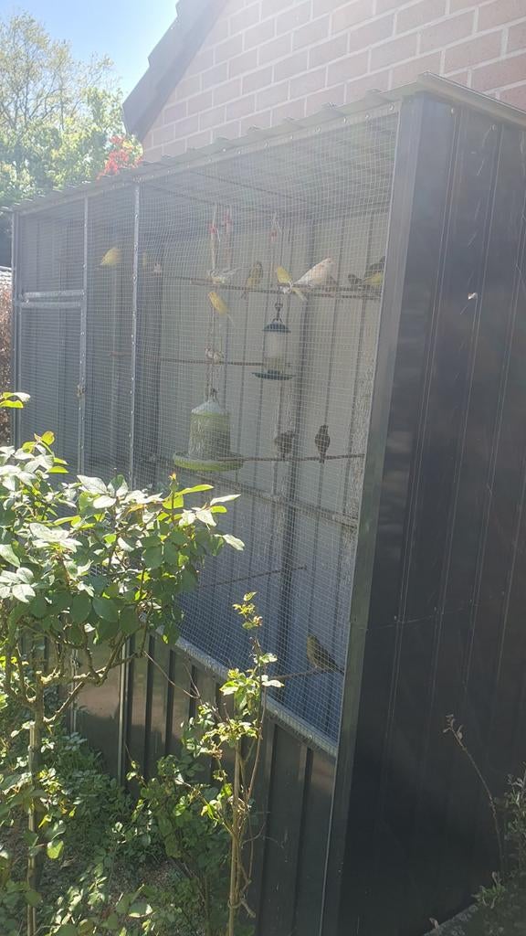 Volière, Animaux & Accessoires, Enlèvement