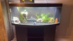 Aquaruim  juwel, Animaux & Accessoires, Enlèvement, Comme neuf