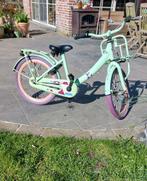 Mintgroene kinderfiets 20 inch Alpina Clubb, Fietsen en Brommers, Fietsen | Kinderfietsjes, Ophalen, Gebruikt, 16 tot 20 inch