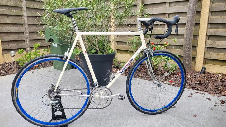 Vélo de course Retro Diamant taille 61 cm  Shimano/Sunrace, Vélos & Vélomoteurs, Vélos | Hommes | Vélos pour homme, Utilisé, Autres marques