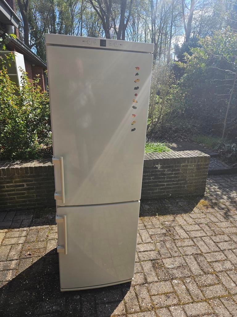Koelkast/diepvriezercombinatie Liebherr, Elektronische apparatuur, Koelkasten en IJskasten, Ophalen