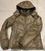 damesjas maat 38 - Hampton Bays, Kleding | Dames, Jassen | Winter, Ophalen of Verzenden, Bruin