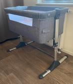 Cododo gris Pericles, Enlèvement ou Envoi, Comme neuf