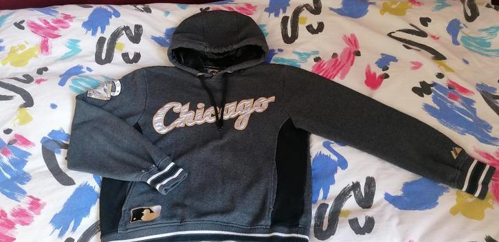Pull avec capouche gris Chicago 14 ans 164 cm, Enfants & Bébés, Vêtements enfant | Taille 164, Utilisé, Garçon ou Fille, Enlèvement ou Envoi