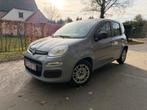 fiat panda mild hyrbide, Auto's, Fiat, Voorwielaandrijving, Stof, Panda, Bedrijf