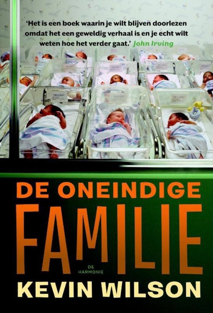 De oneindige familie / Kevin Wilson, Boeken, Romans, Zo goed als nieuw, Ophalen of Verzenden