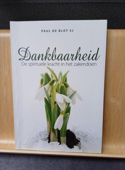 Dankbaarheid, Boeken, Esoterie en Spiritualiteit, Zo goed als nieuw, Spiritualiteit algemeen, Ophalen of Verzenden