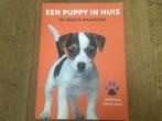 Martin Gaus - Een puppy in huis - prima staat, Boeken, Ophalen, Honden, Zo goed als nieuw, Martin Gaus