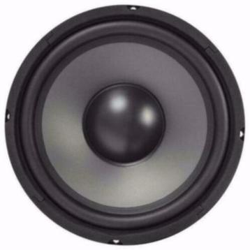 Bas Speaker 250 Watt 25 Cm 8 Ohm [214-T] beschikbaar voor biedingen