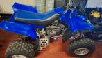 Yamaha warrior 350, Motoren