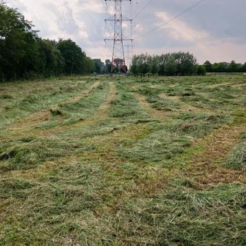 Hooi te koop beschikbaar voor biedingen