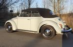 VW kever cabrio, Auto's, Volkswagen, Achterwielaandrijving, 4 cilinders, Cabriolet, Handgeschakeld