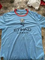 Manchester City voetbalshirt, Kleding | Heren, Sportkleding, Ophalen, Voetbal, Gedragen, Puma
