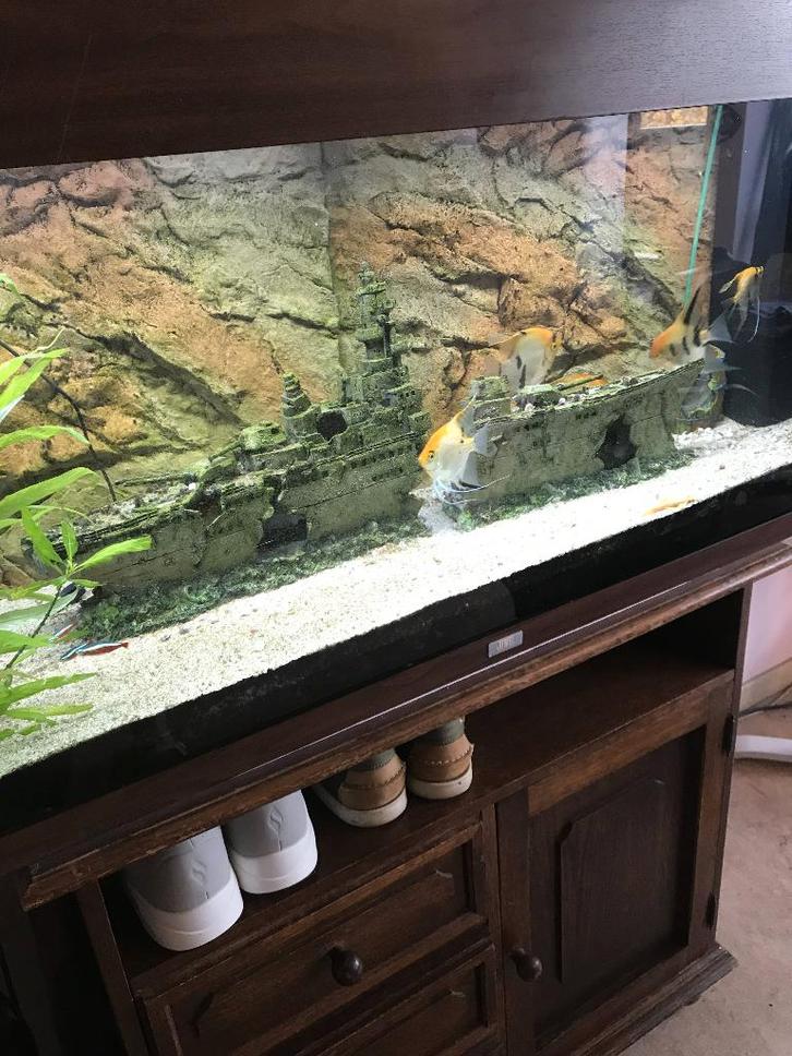 juwel aquarium, Dieren en Toebehoren, Vissen | Aquaria en Toebehoren, Gebruikt, Gevuld zoetwateraquarium, Ophalen