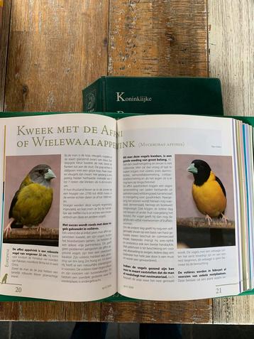 De witte spreeuw, Boeken, Ophalen, Zo goed als nieuw