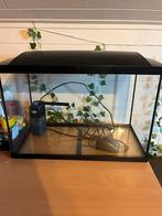 Superfish aquarium 70, Dieren en Toebehoren, Vissen | Aquaria en Toebehoren, Ophalen, Zo goed als nieuw, Leeg aquarium