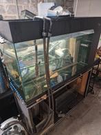 Aquarium van 200 liter plus metalen standaard, Dieren en Toebehoren, Ophalen of Verzenden, Zo goed als nieuw